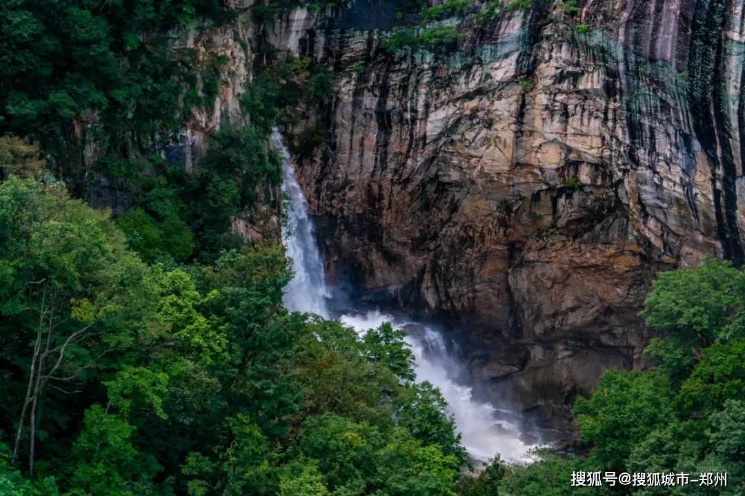 QQ企鹅